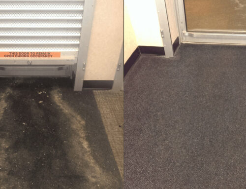 Restoring Your Carpet the MilliCare Way